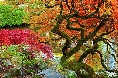 暴雪解释为何《暗黑破坏神：不朽》登陆PC