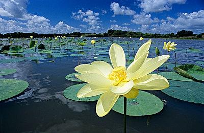 KRAFTON旗下工作室在Steam推出新游戏“三小幸存者”