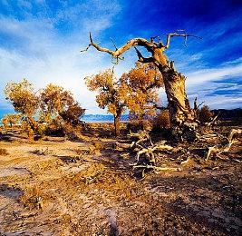 农场商店模拟游戏《甘露岛》宣布3月7日发售 登陆多平台